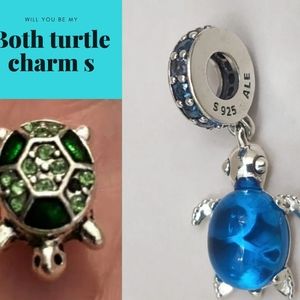 2 turtle charms